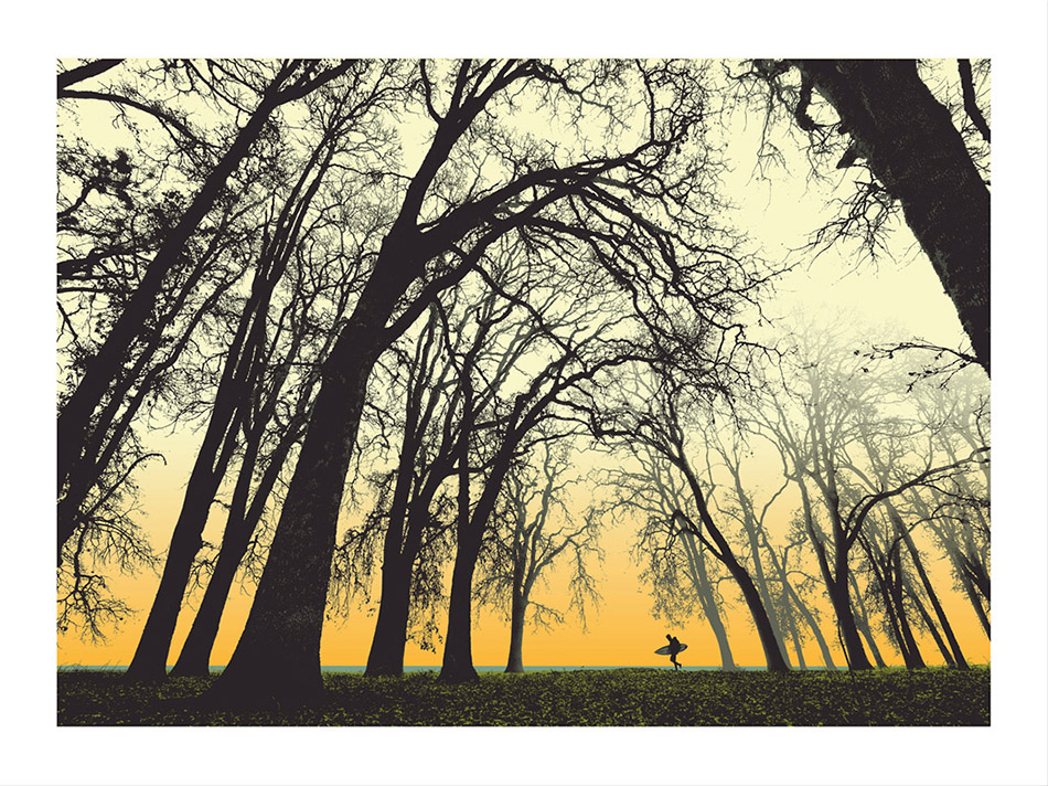 "In The Woods" by Mark Brabant.  24" x 18" Screenprint w/ GID.  Ed of 100 S/N.  $40