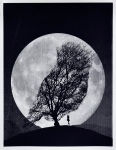 “Down the Rabbit Hole” & “Supermoon Owl” by Perfect Laughter | 411posters