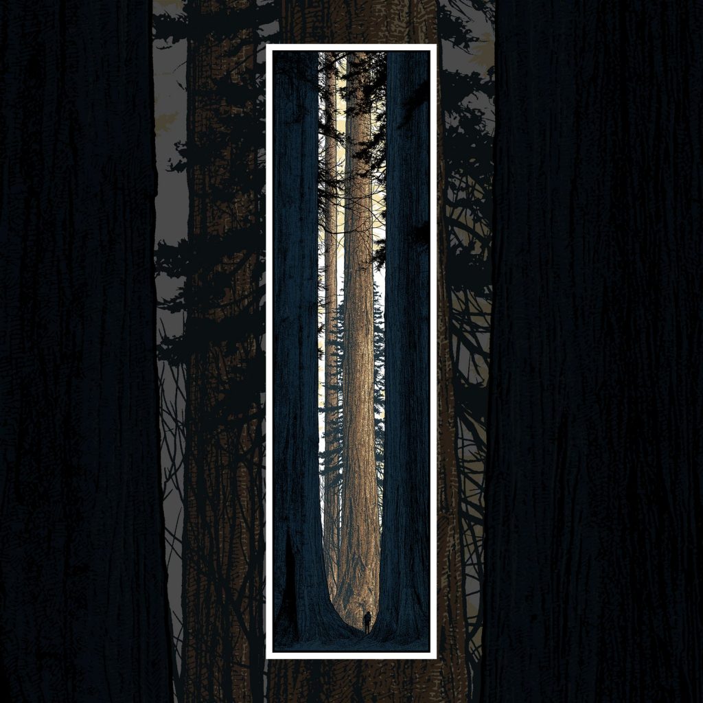 Dan McCarthy | 411posters